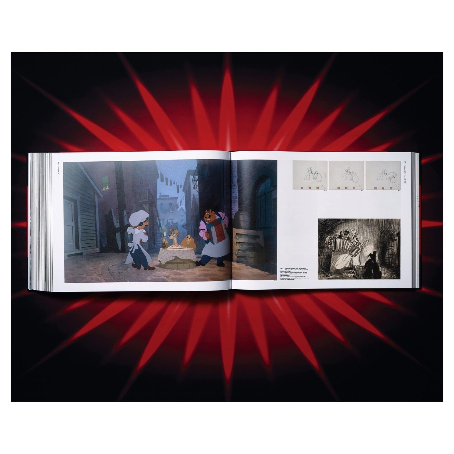 Exklusive Edition mit Schuber und edlem Design