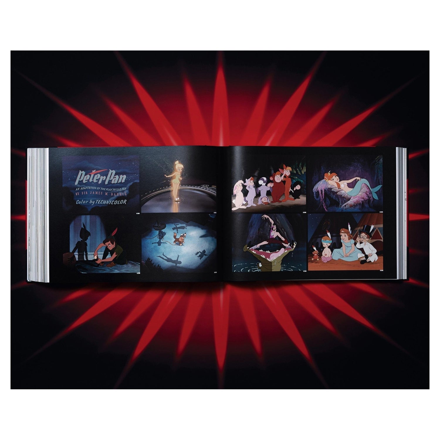 Riesiges Sammlerbuch mit Hardcover und Portfolio