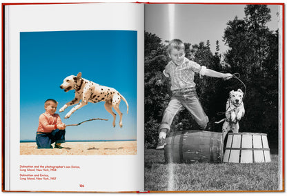 Kind und Hund spielen zusammen