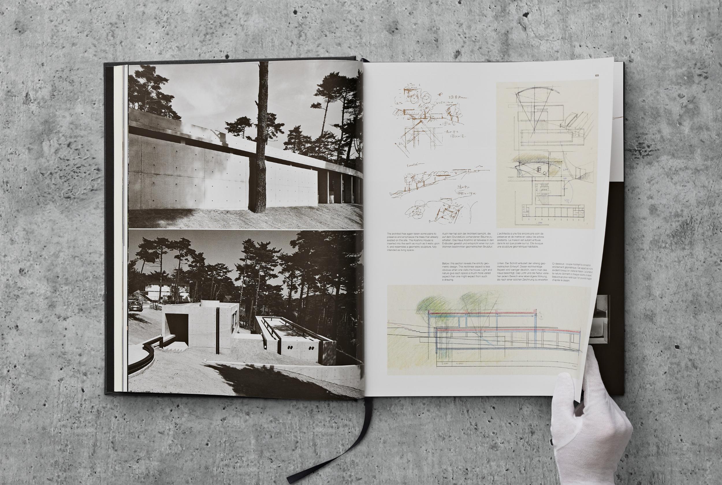 Darstellung ausgewählter Wohnhäuser und Museumsbauten von Tadao Ando