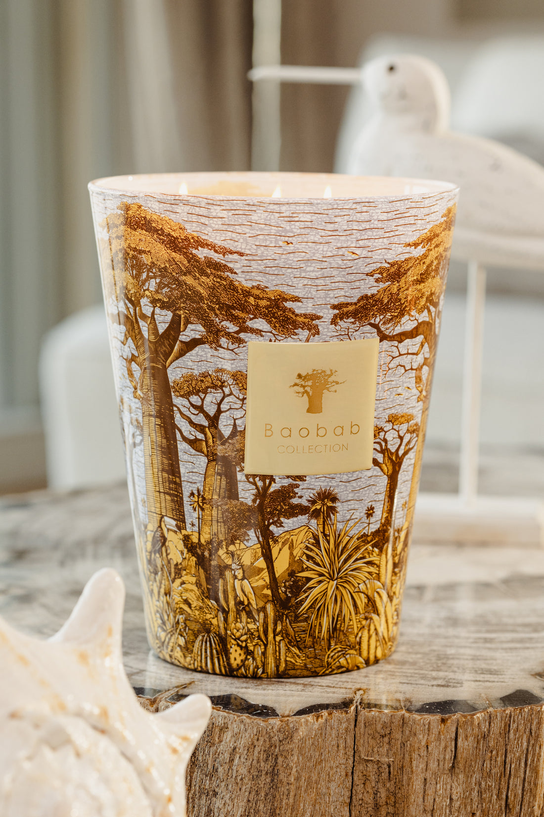 Baobab Collection – Sacred Trees Summer Edition Cocody Duftkerze