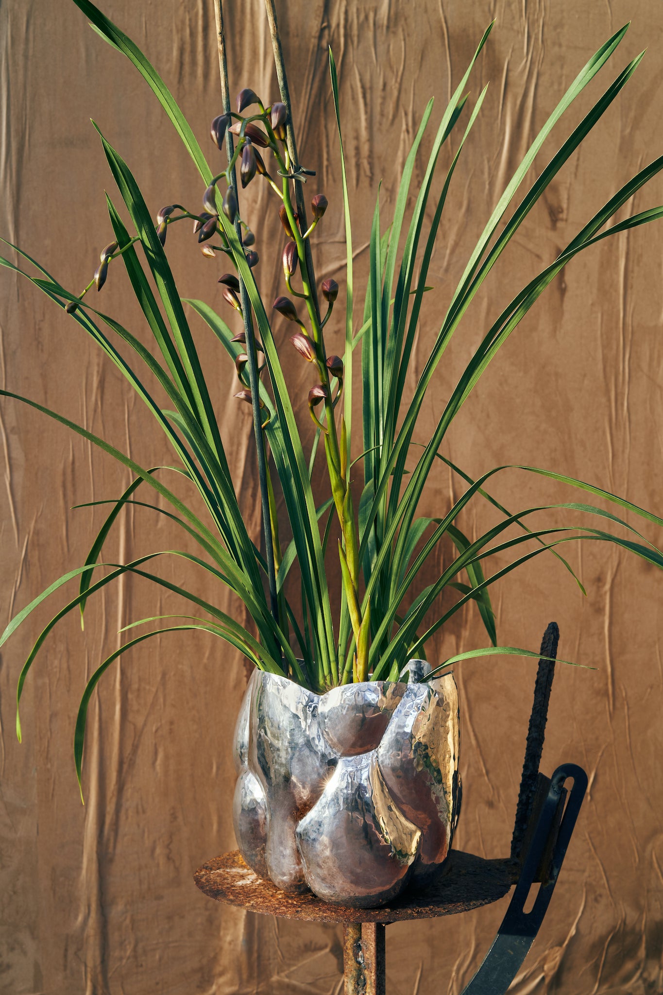 Dekoration Pflanzen - Cloud Short Vessel in Polished Stainless Steel