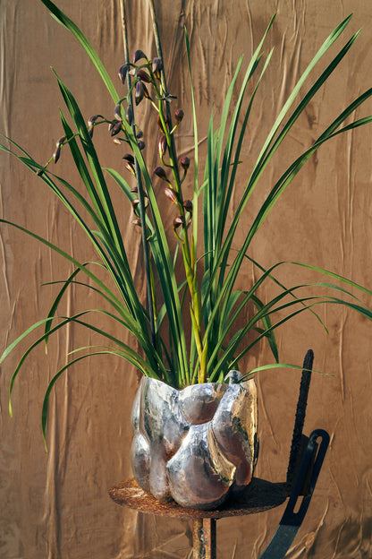 Dekoration Pflanzen - Cloud Short Vessel in Polished Stainless Steel