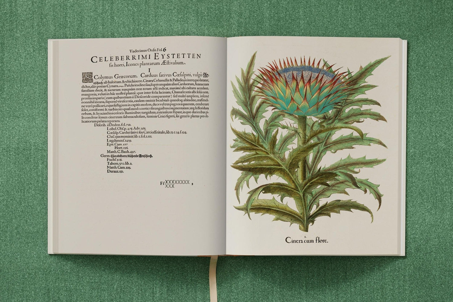 Besler. The Garden at Eichstätt für die private Bibliothek