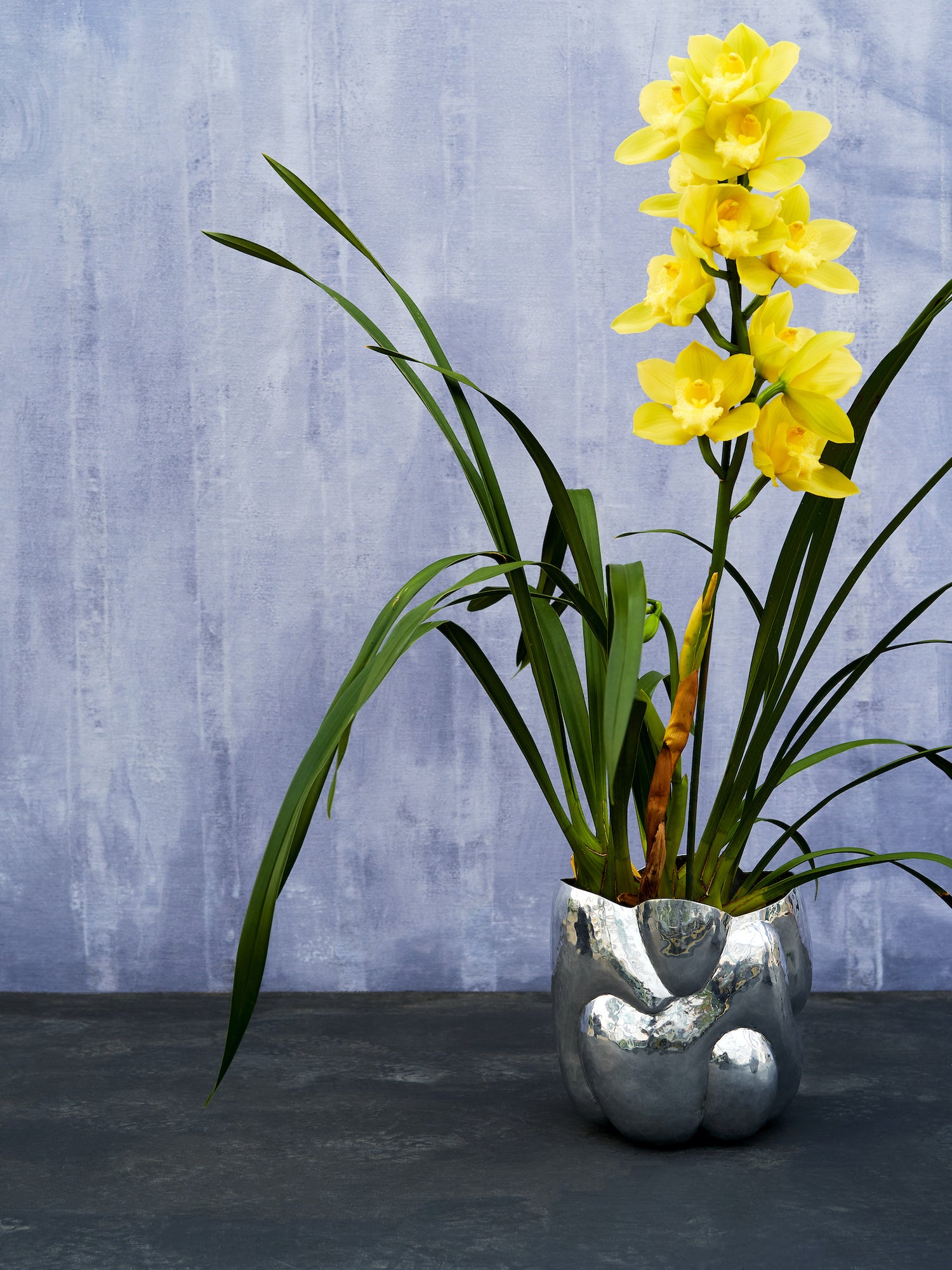 Blumendekoration von Tom Dixon - Cloud Short Vessel in Polished Stainless Steel