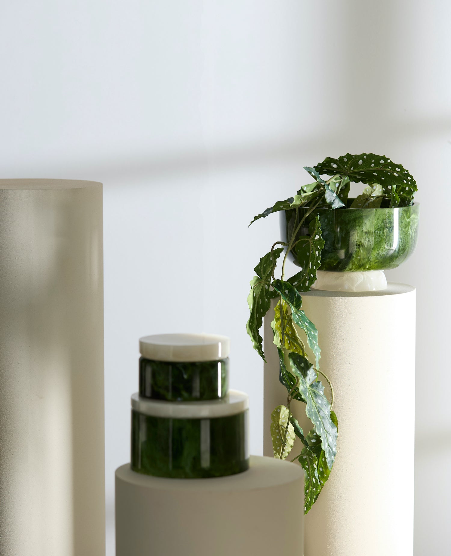 Dekoration Schalen und Aufbewahrung in Gruen-Weiss von Light &amp; Living