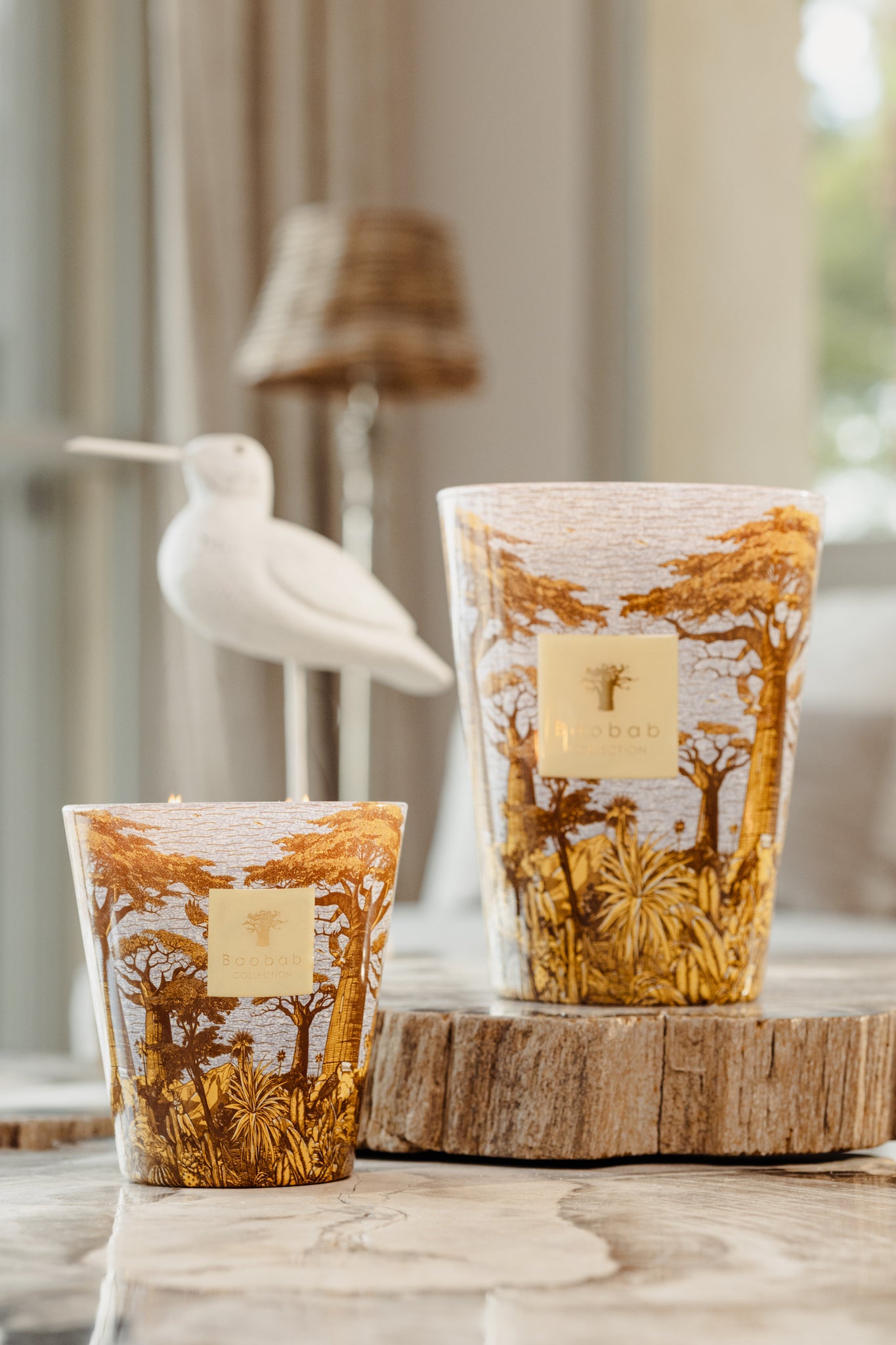 Duftkerze Baobab Collection – Sacred Trees Summer Edition Cocody Max 24 (Limited Edition)