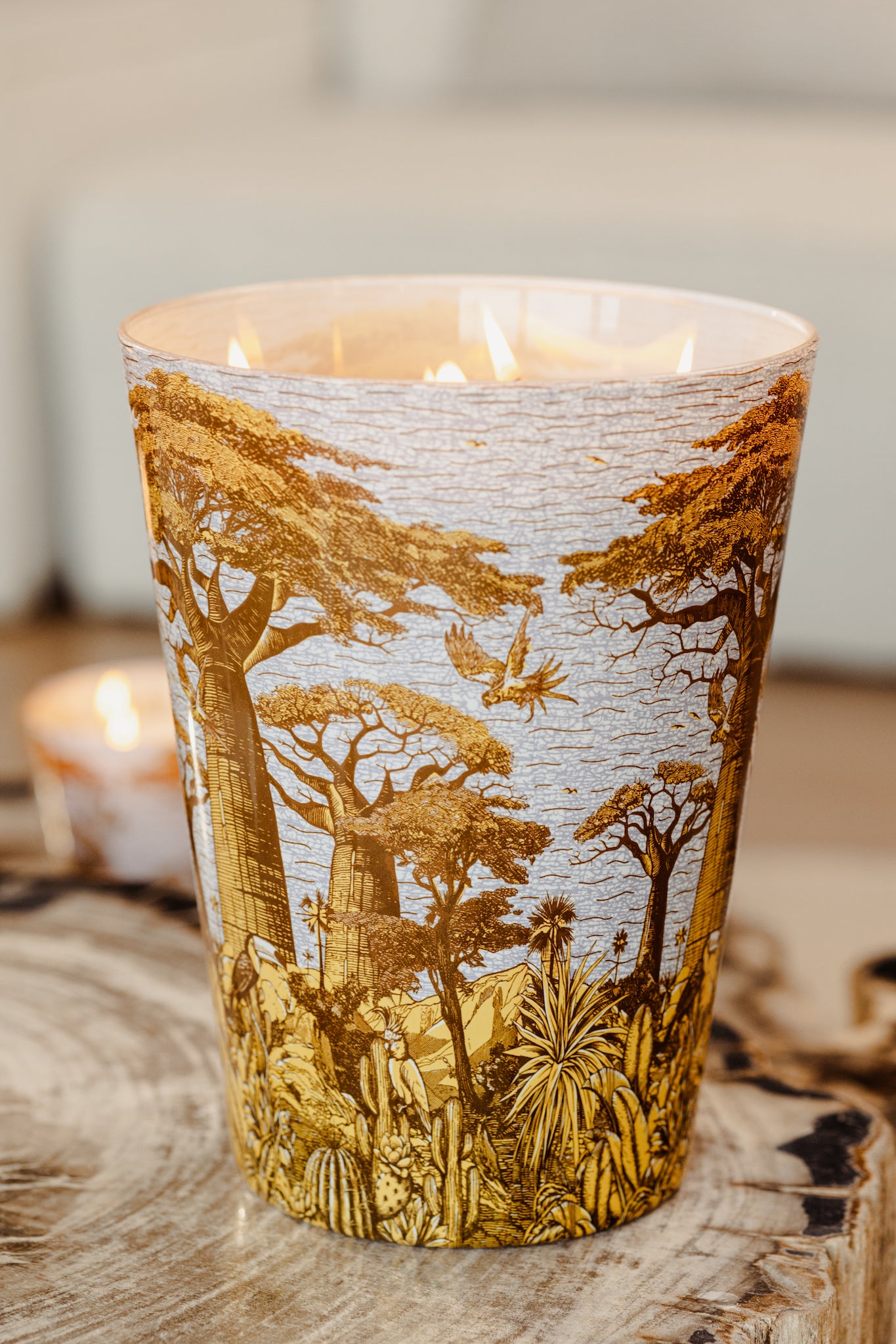 Duftkerze Baobab Collection – Sacred Trees Summer Edition Cocody