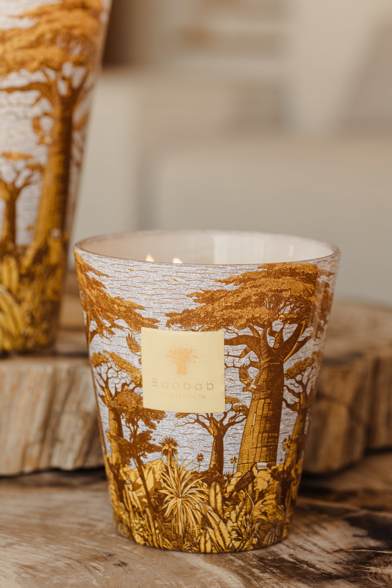 Duftkerze Baobab Collection – Sacred Trees Cocody - Summer Edition