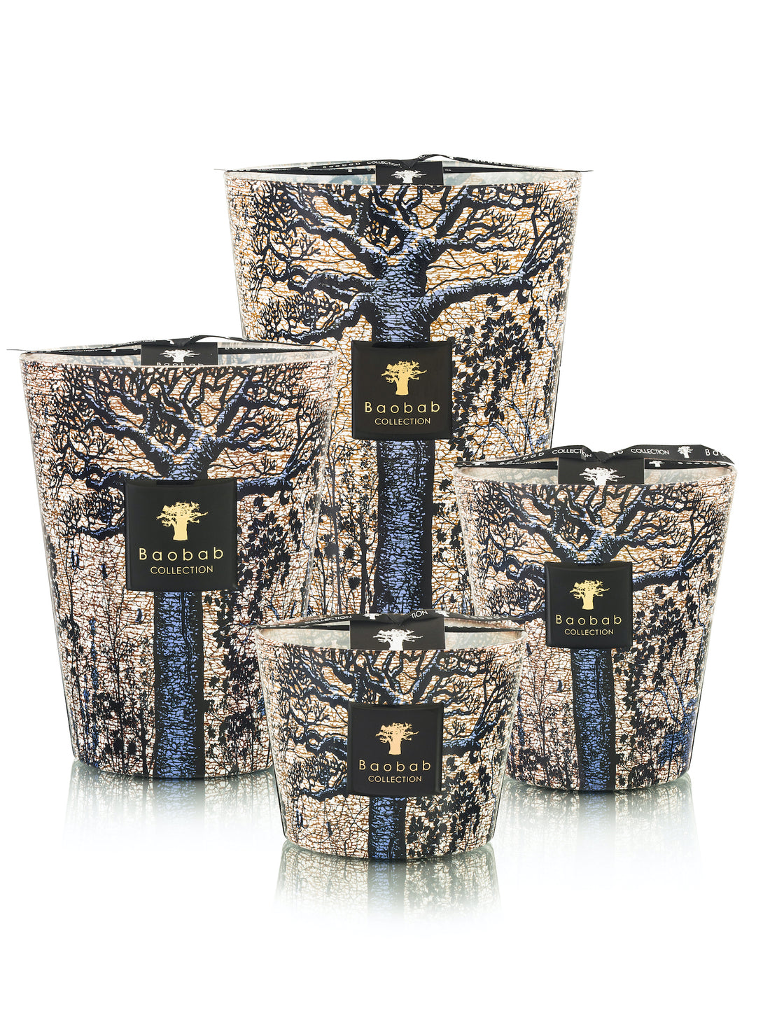 Duftkerzen Sacred Trees SEGUELA von Baobab Collection