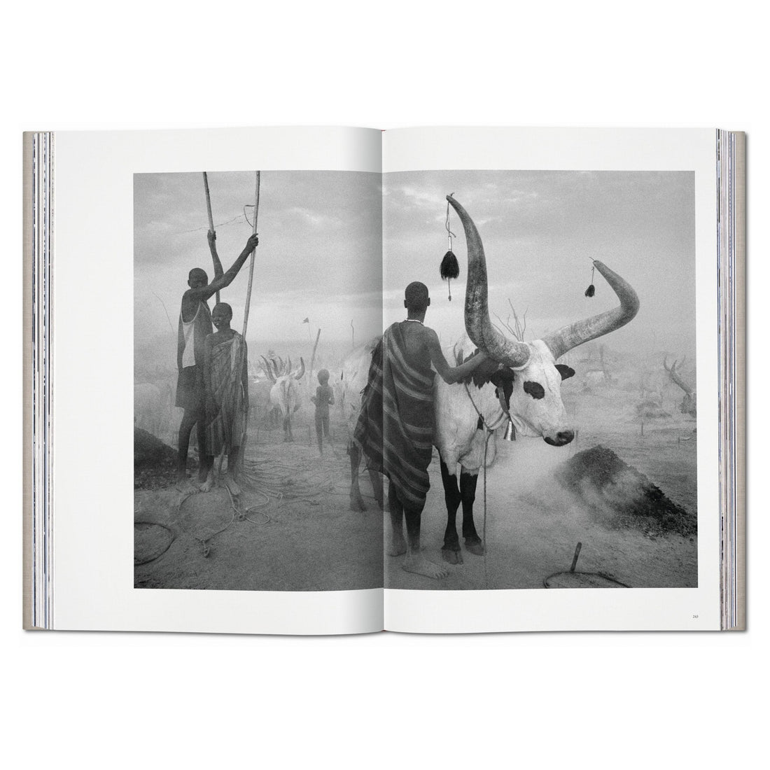 GENESIS Fotografie von Sebastião Salgado - Coveransicht