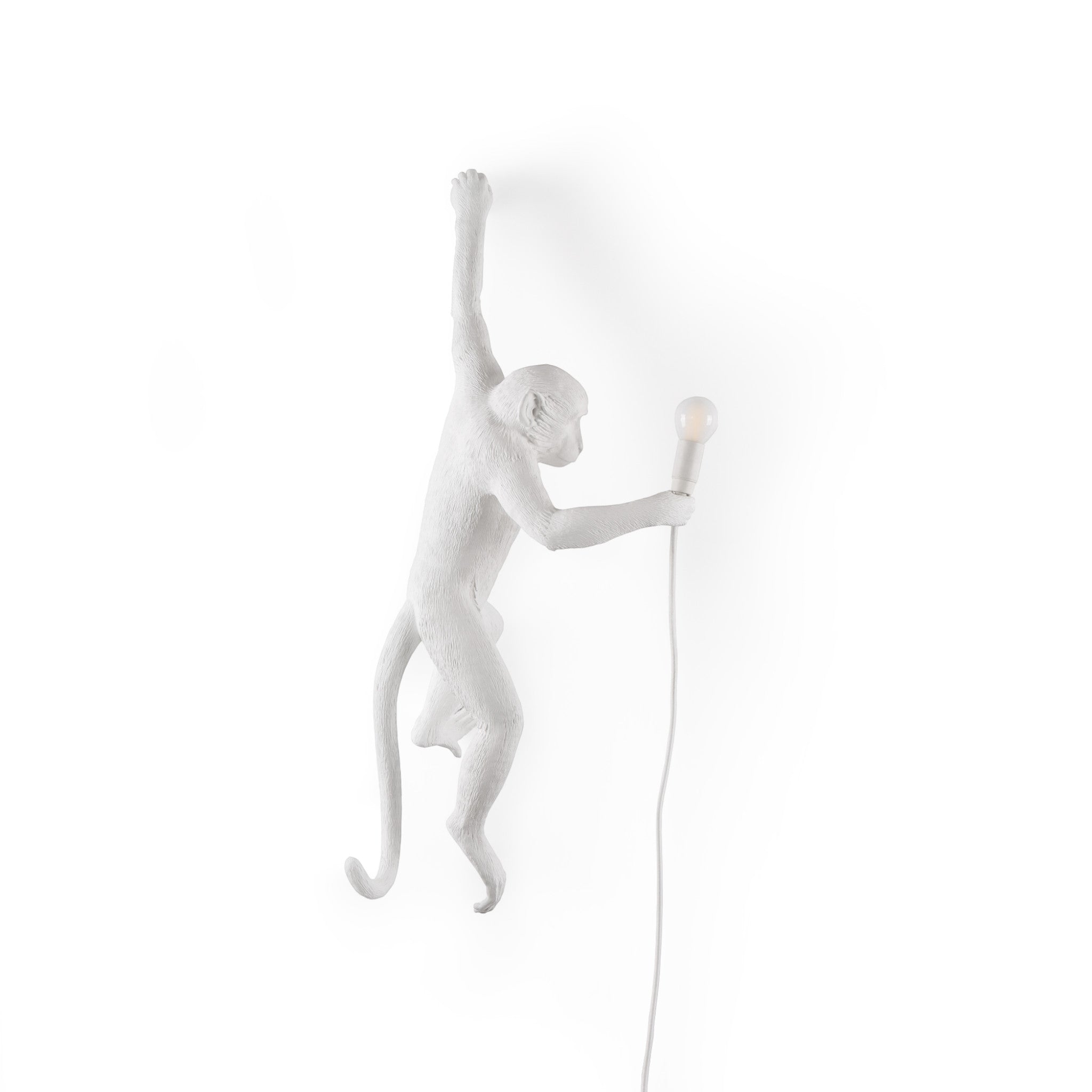 Hängeleuchte THE MONKEY von Seletti – ikonisches Design zwischen Natur und Inszenierung