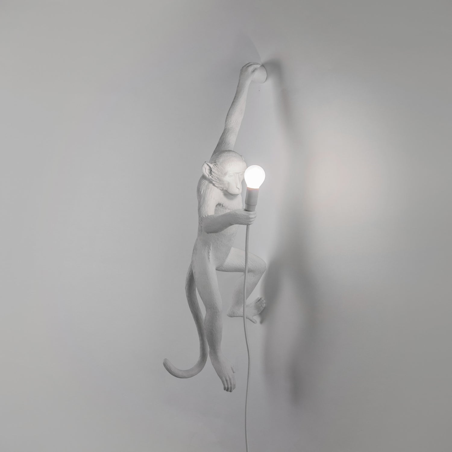 Hängeleuchte THE MONKEY von Seletti – ikonisches Design zwischen Natur und Inszenierung