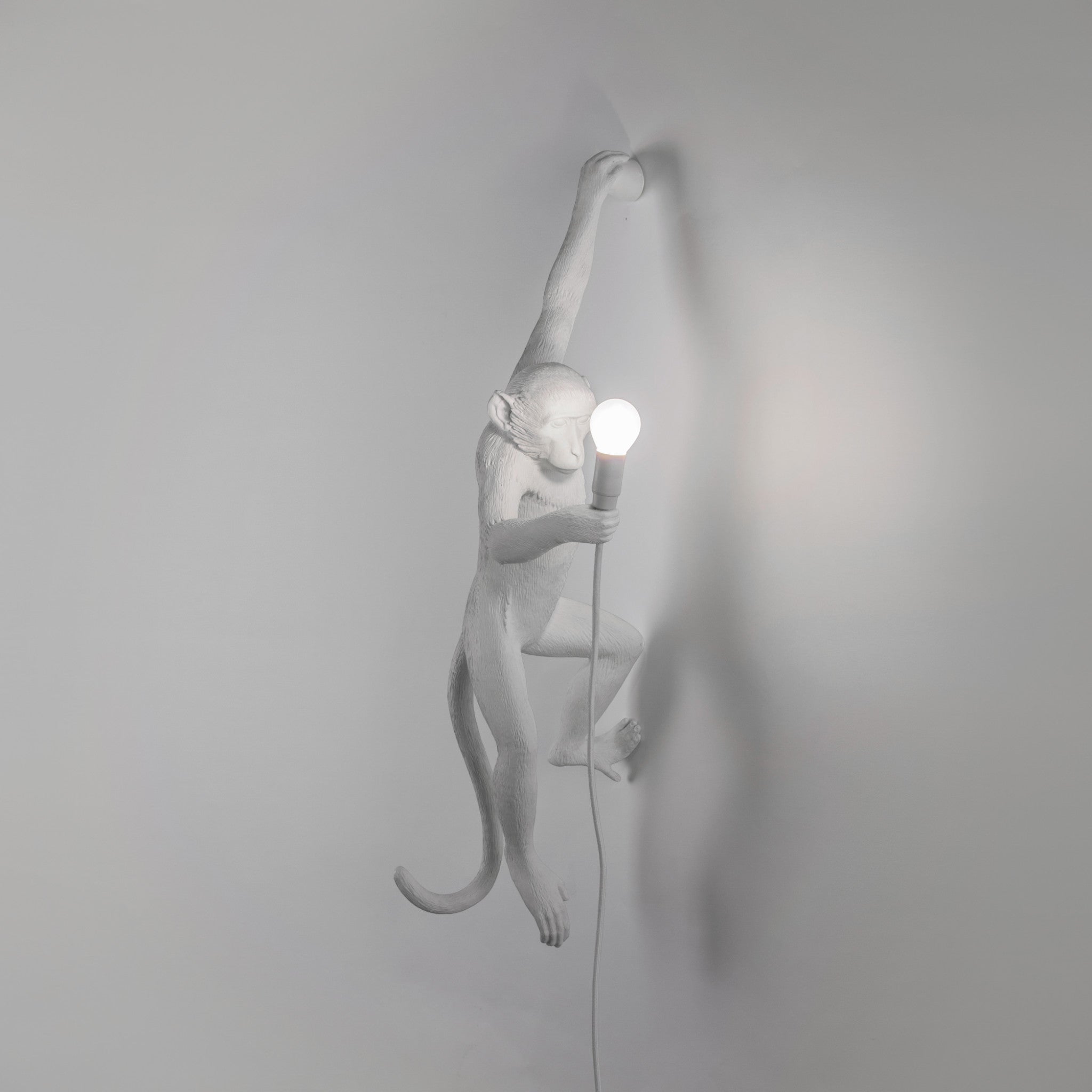 Hängeleuchte THE MONKEY von Seletti – ikonisches Design zwischen Natur und Inszenierung