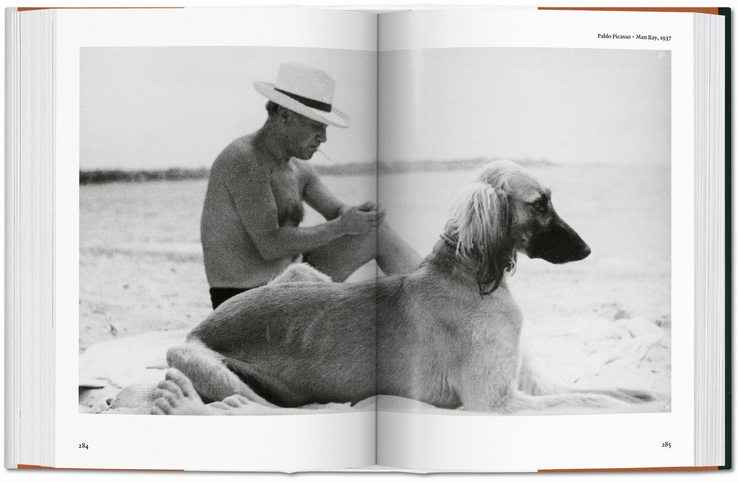 Foto mir Hund und Mensch am Strand