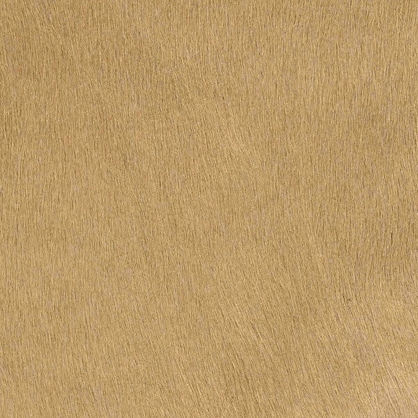 Kuhfell Teppich Champagner Beige