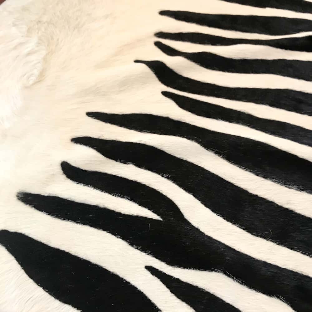 Kuhfell Teppich ZEBRA naturel