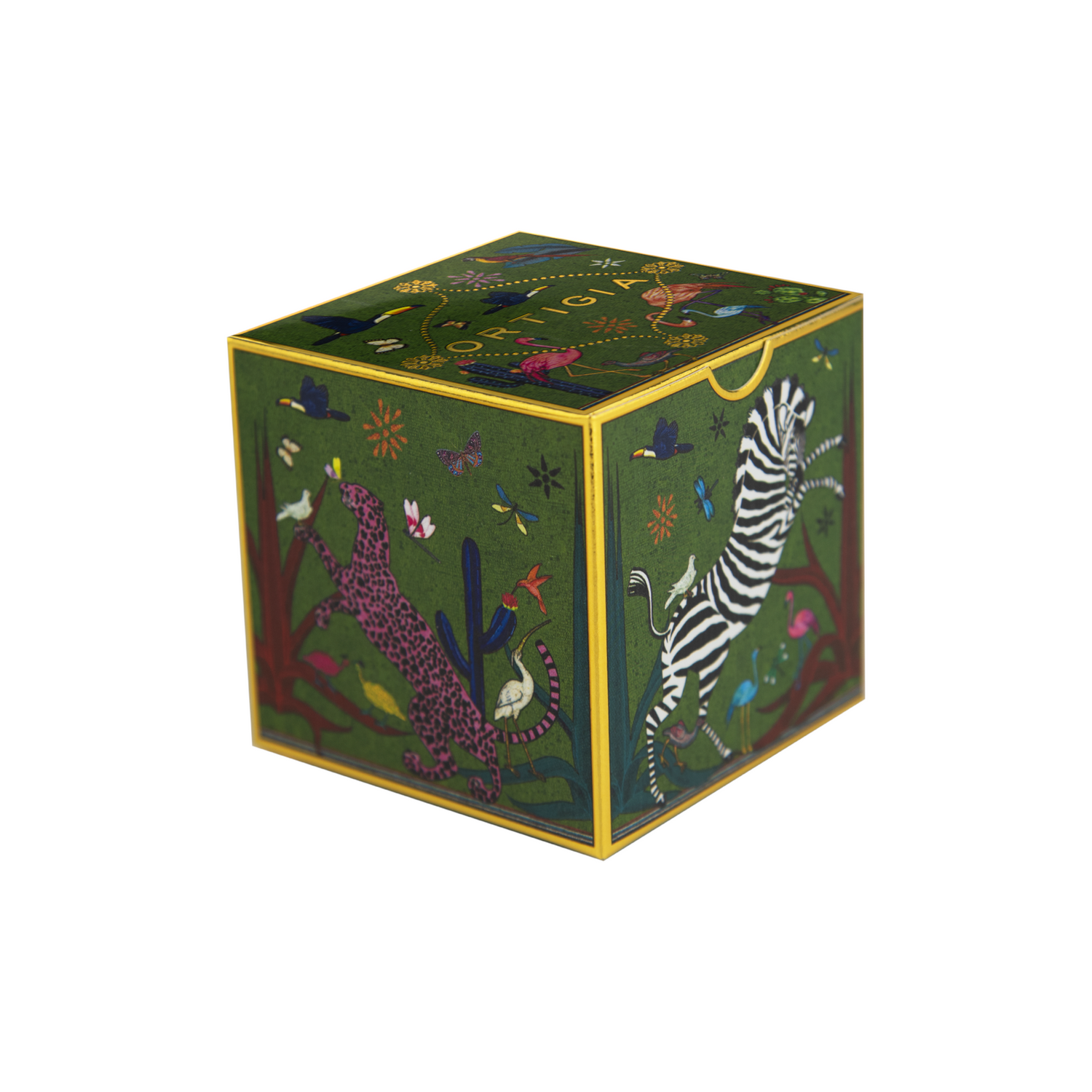 Geschenkbox mit farbenfrohen Illustrationen im Jungle-Stil
