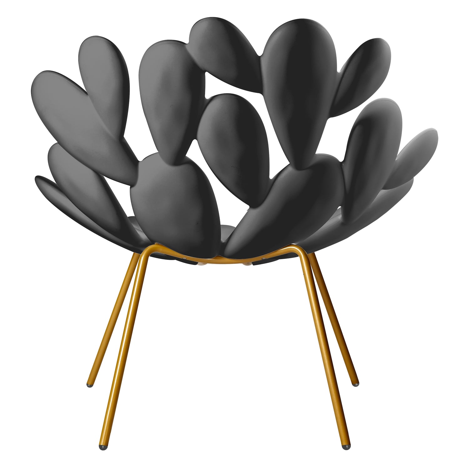 Filicudi Armchair Schwarz/Brass von Qeeboo