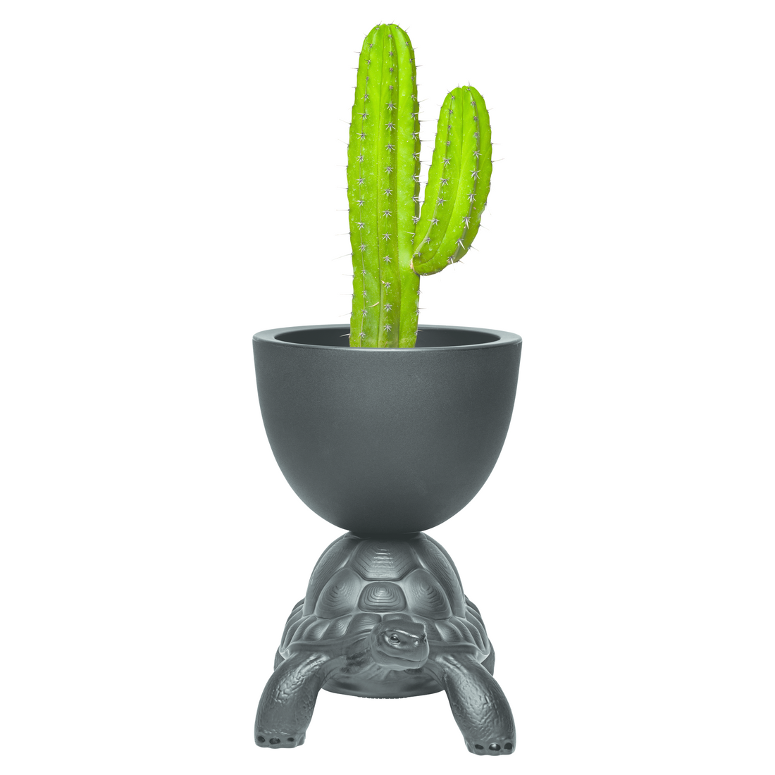 Qeeboo Designobjekt in Schwarz – als Pflanzgefäß oder Sektkühler nutzbar