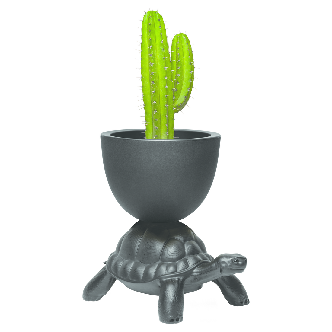 Schwarzer TURTLE CARRY Pflanzentopf mit Schale auf dem Rücken einer stilisierten Schildkröte
