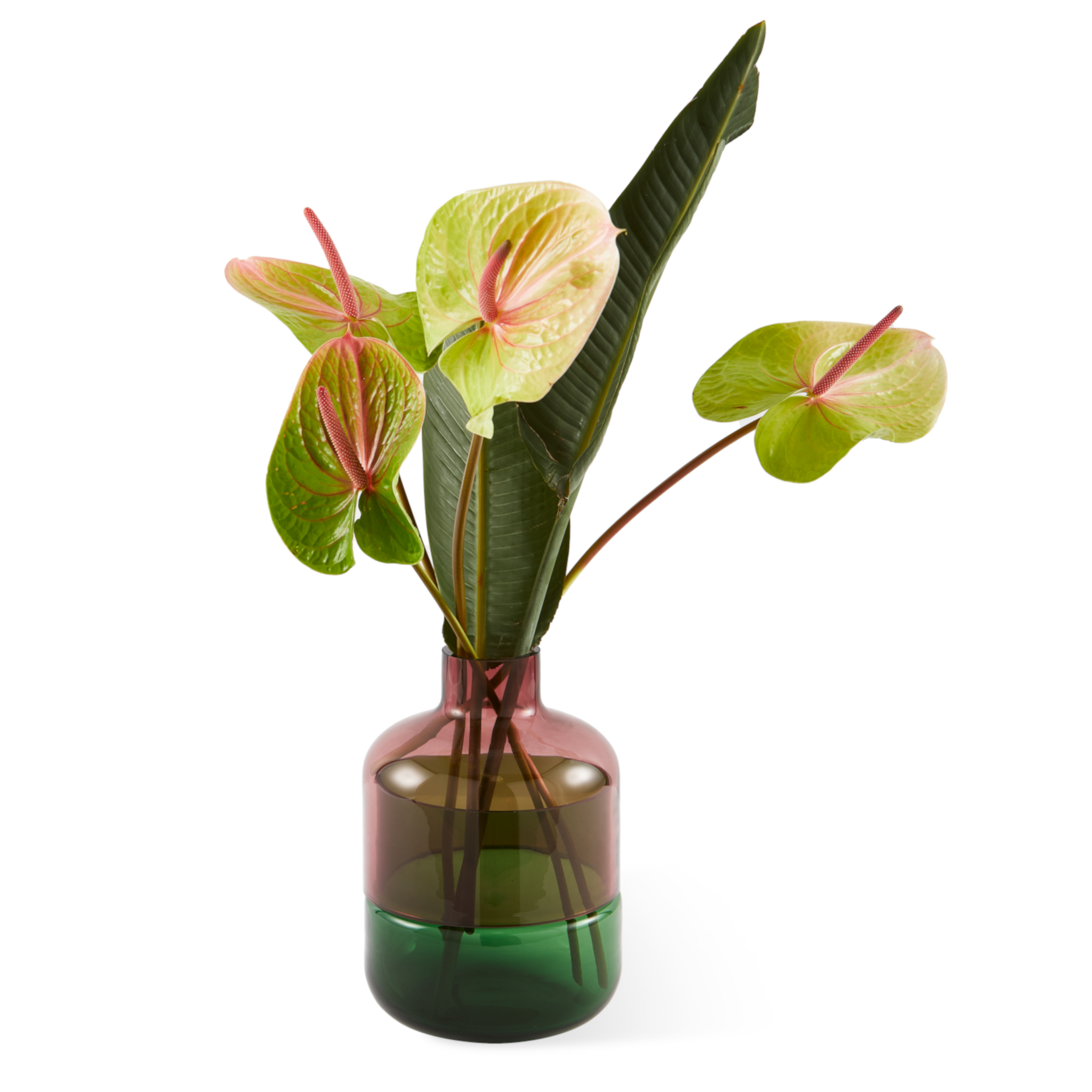 Zweifarbige Polspotten Glasvase Formy S – modernes Design