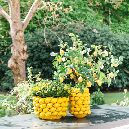 Übertopf und Vase All Lemon