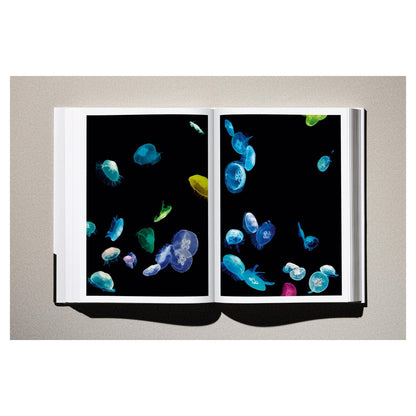 Offene Ansicht des Buches „Kaos“ - simulierte Produktdarstellung.