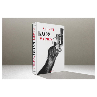 „Kaos“ von Albert Watson mit schattenfreier Ausleuchtung.