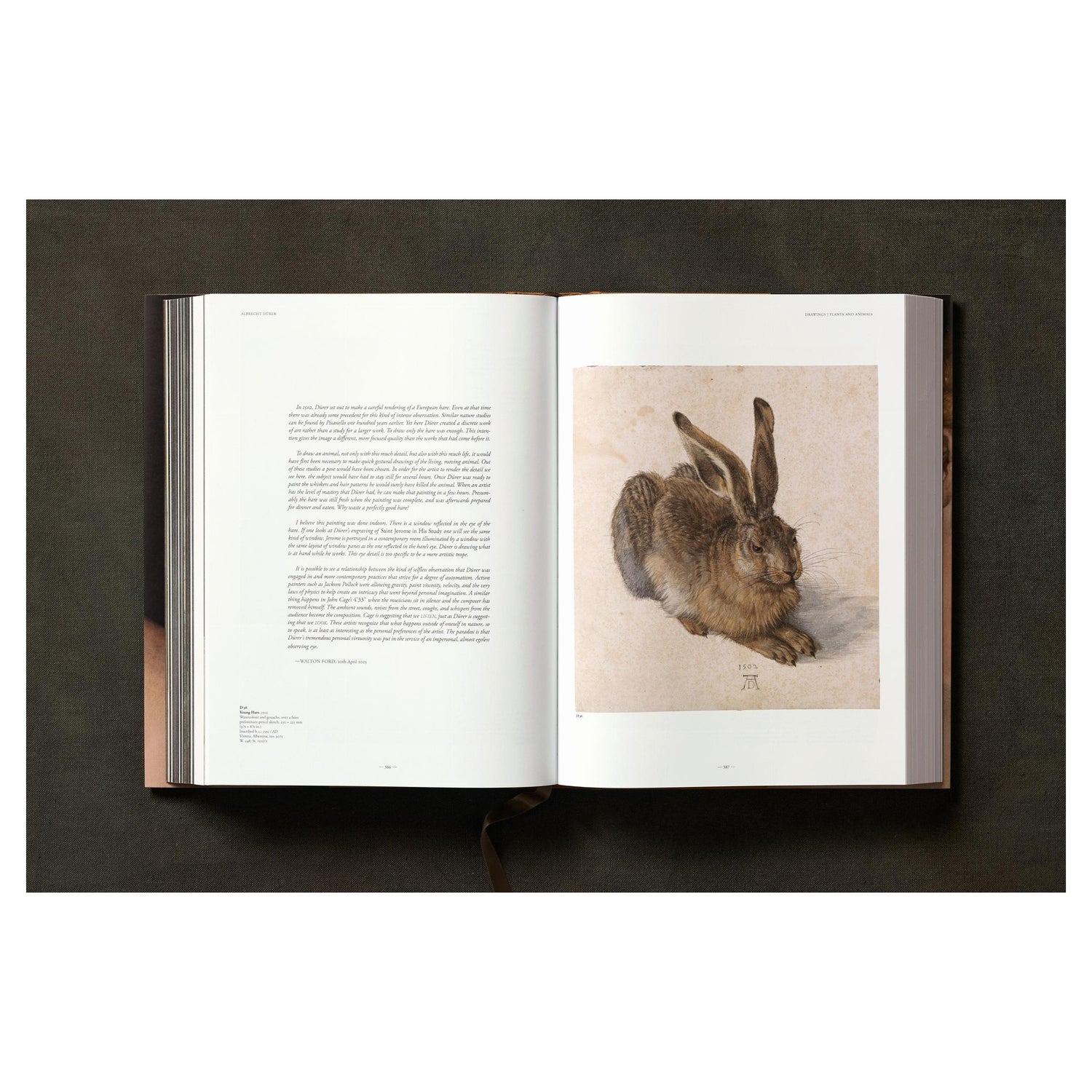 Reproduktion eines Renaissanceportraits auf Buchcover.