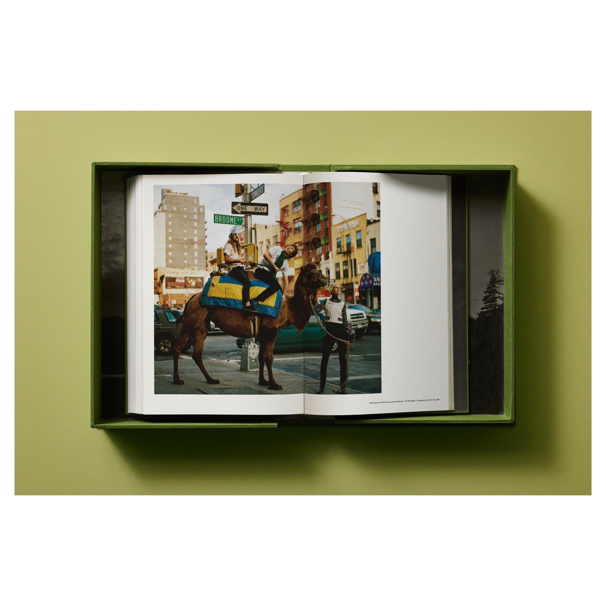 Luxusausgabe TASCHEN Weber Art Edition