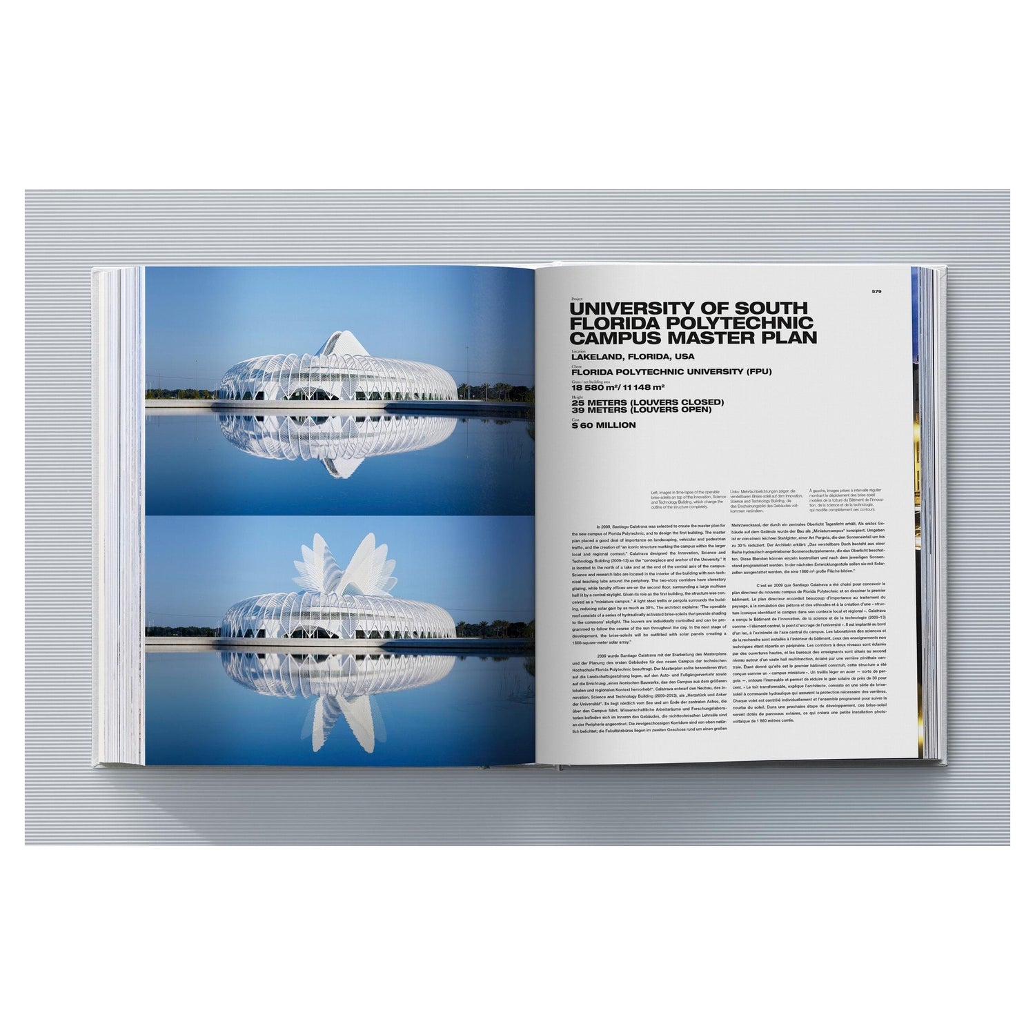 Calatrava Limited Art Edition 2023