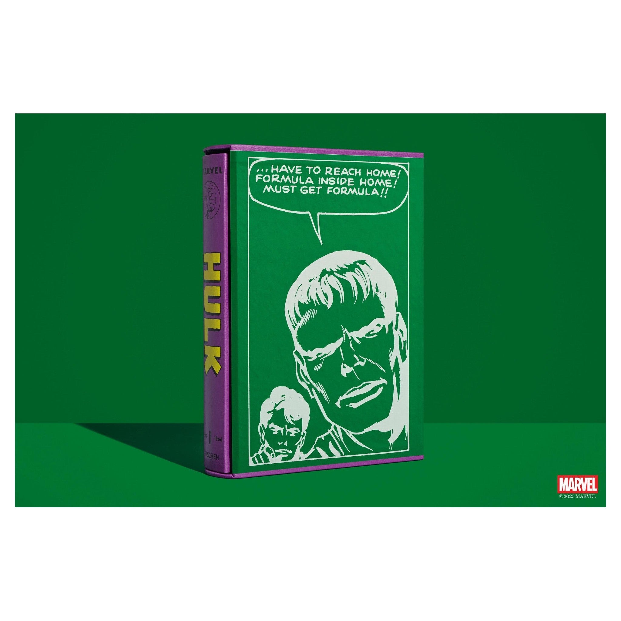 Hulk Marvel Comicgeschichte XXL