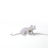 Tischlampe MOUSE LOP weiß von Seletti – ikonisches Design mit spielerischem Charme