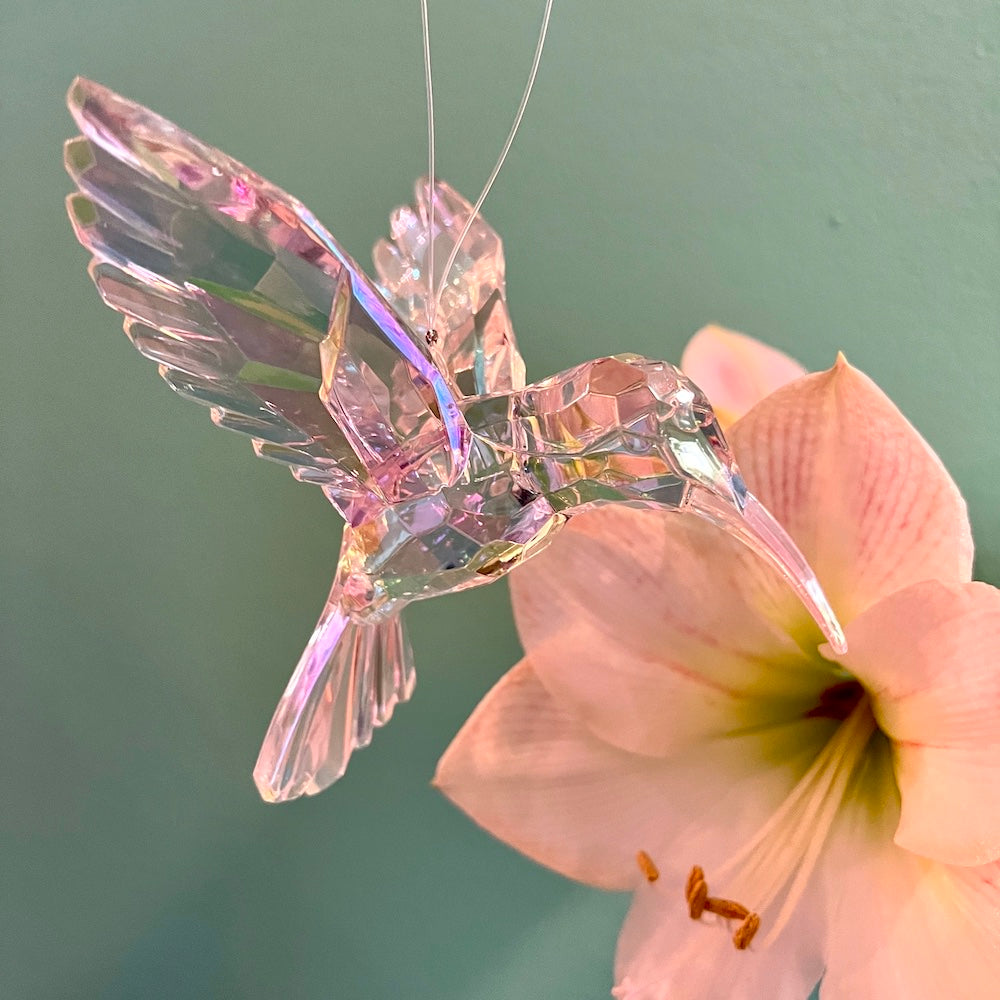 transparenter-kolibri-aufhaenger-dekoration