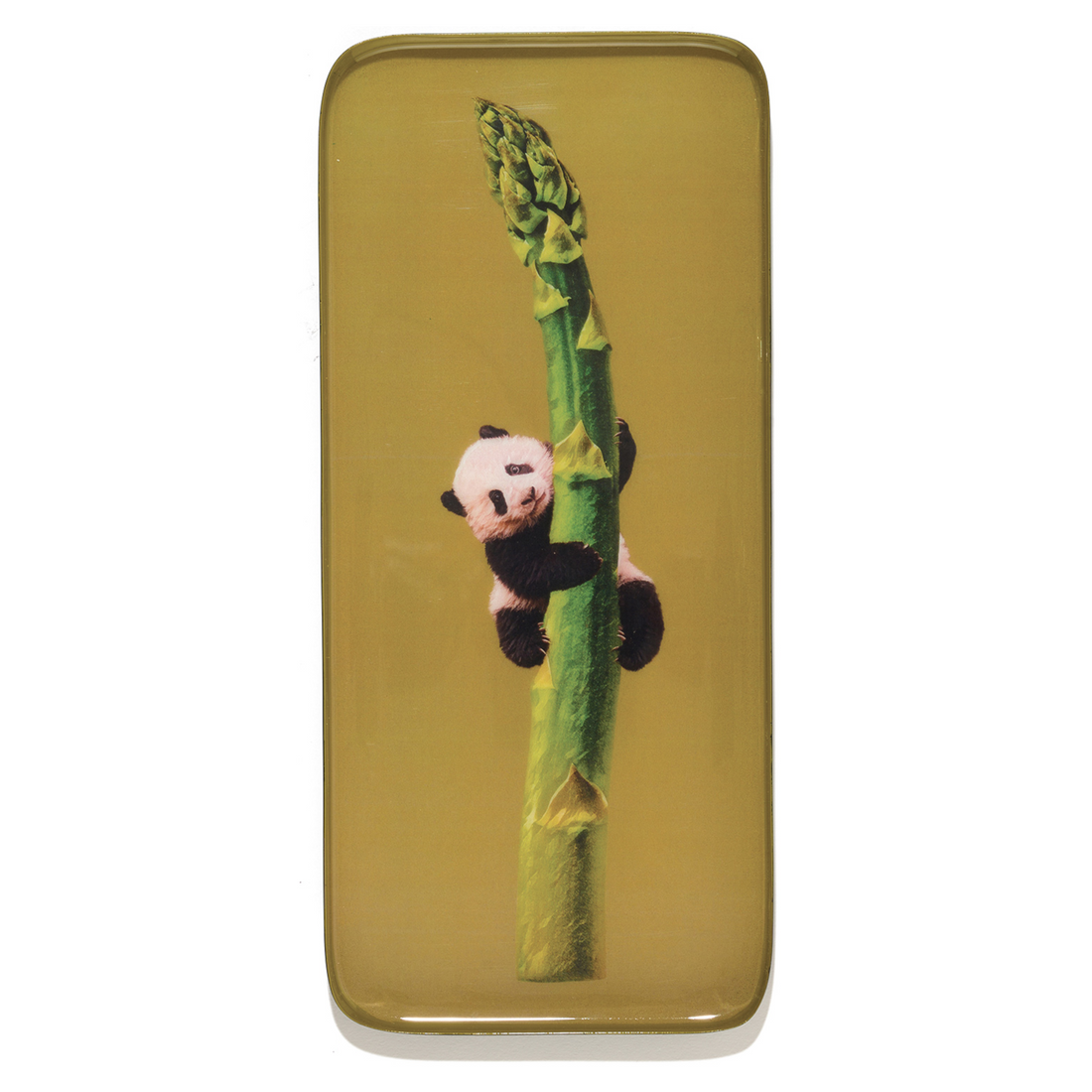 Rechteck-Schale Sacha mit Panda und Spargel-Motiv