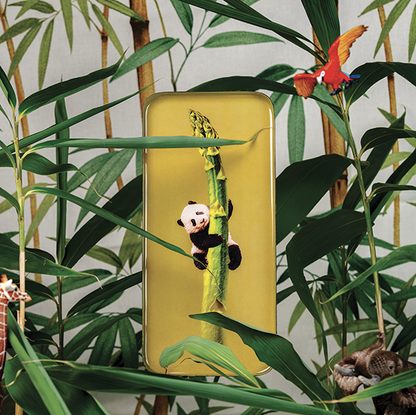 Deko-Schale mit Panda-Motiv auf goldfarbenem Hintergrund