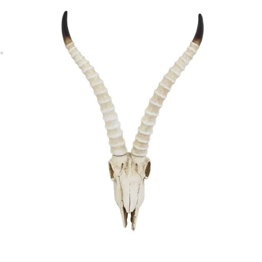 wand-skulptur-antilope-skull-totenkopf