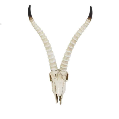 wand-skulptur-antilope-skull-totenkopf